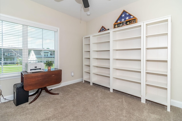 236 Andrews Ln, Grovetown, GA 30813 - photo 37