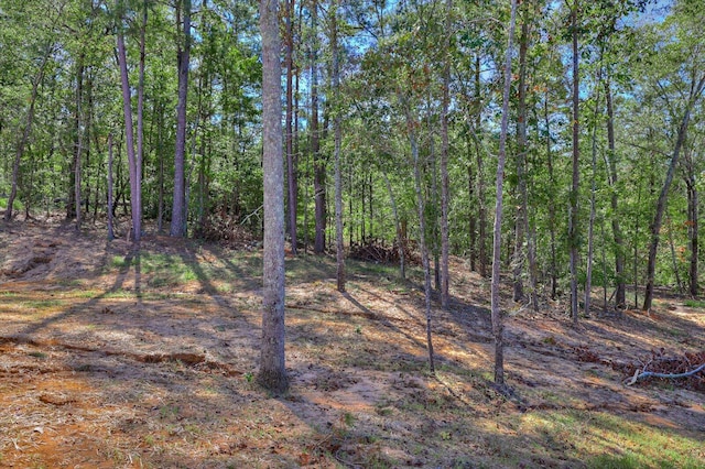 view of local wilderness