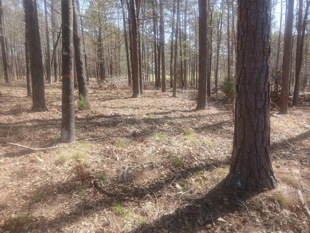 19 Belfast Ct, North Augusta, SC 29860