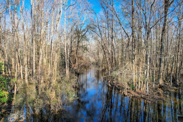 property view of water with a view of trees