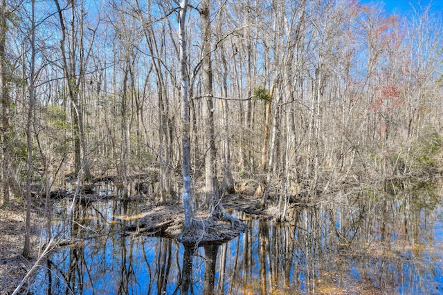 view of local wilderness featuring a forest view