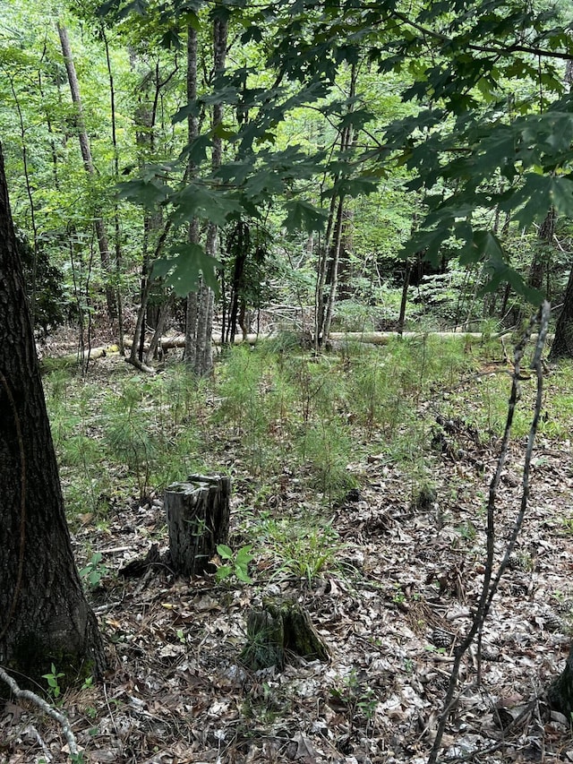 L5B17 Creekside Cv, Mccormick, SC 29835