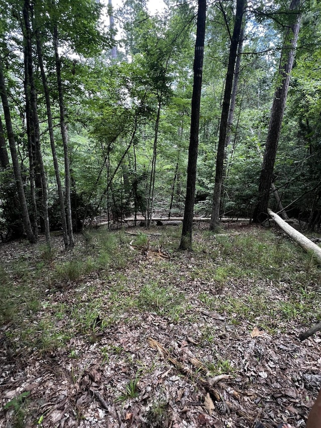 L5B17 Creekside Cv, Mccormick, SC 29835