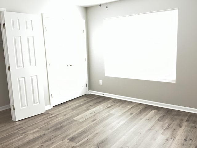 unfurnished room with light hardwood / wood-style flooring and plenty of natural light