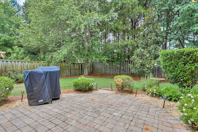 207 Oleander Trl, Evans, GA 30809 - fenced backyard featuring a patio area and area for grilling