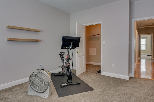 207 Oleander Trl, Evans, GA 30809 - exercise room featuring carpet and baseboards