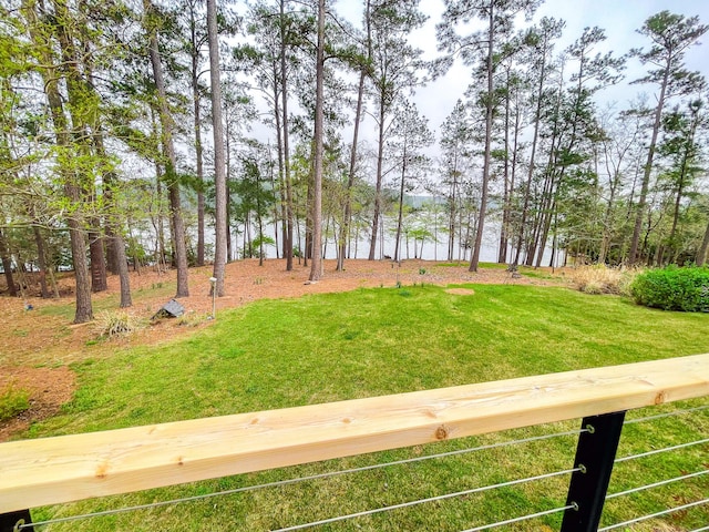 228 Heron Shrs, Mccormick, SC 29835 - view of yard