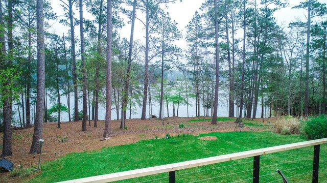 228 Heron Shrs, Mccormick, SC 29835 - view of yard