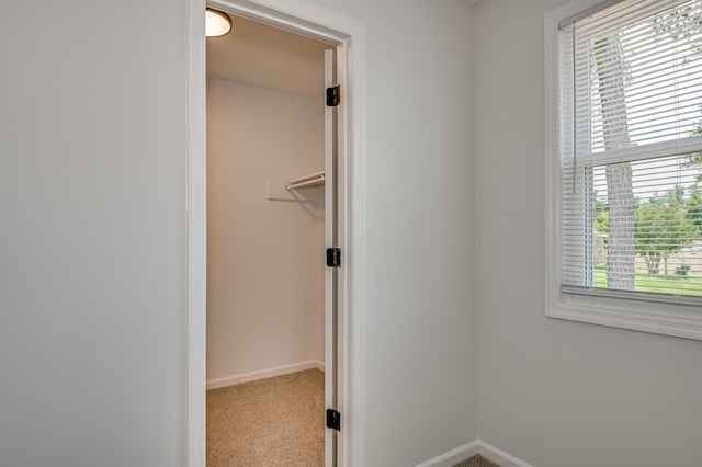 4075 Flintrock Way, Martinez, GA 30907 - walk in closet featuring carpet floors