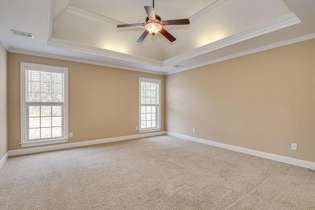 spare room featuring plenty of natural light, carpet, and a raised ceiling