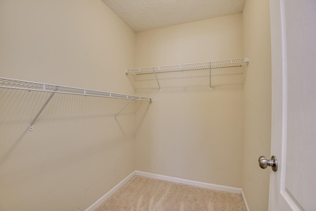 spacious closet featuring carpet