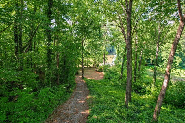 1556 Stevens Creek Dr, North Augusta, SC 29860 - photo 5
