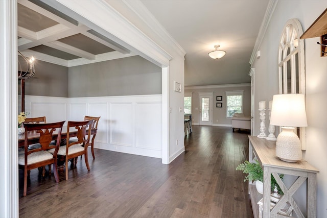 729 Houston Lake Dr, Evans, GA 30809 - dining area with a decorative wall, ornamental molding, beam ceiling, dark wood finished floors, and wainscoting