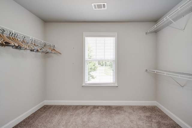 729 Houston Lake Dr, Evans, GA 30809 - walk in closet with carpet