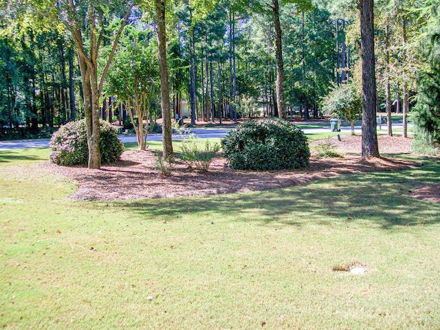 view of home's community with a lawn