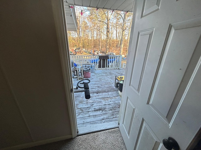 entryway with a wealth of natural light