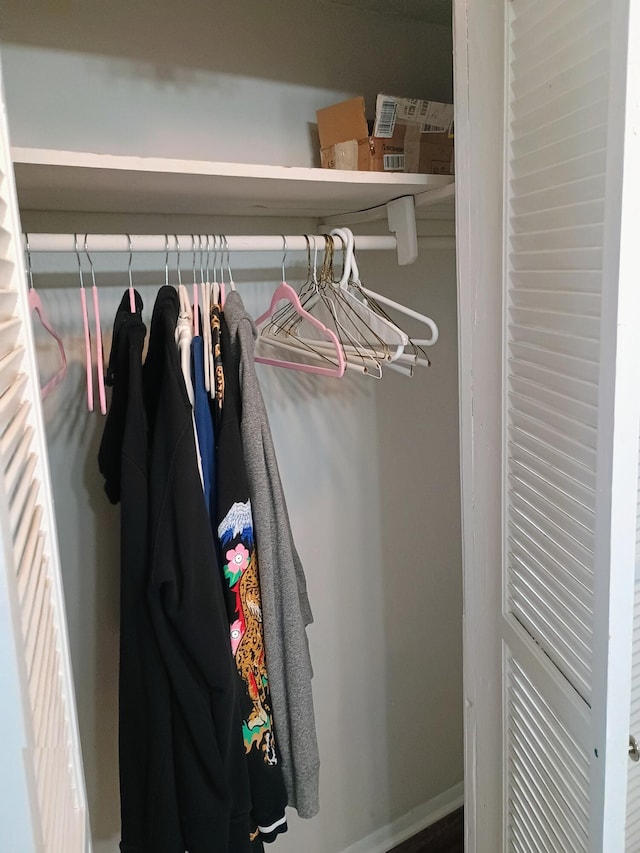 view of closet