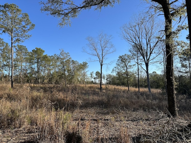 1873 Wild Turkey Dr, Gibson, GA 30810 - photo 6