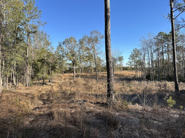 1873 Wild Turkey Dr, Gibson, GA 30810 - photo 5