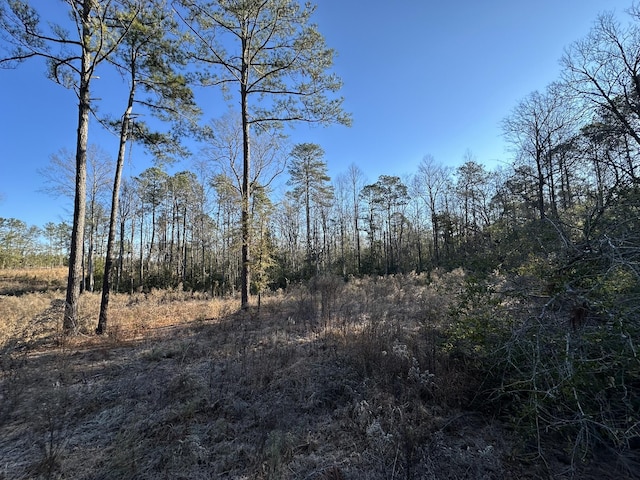 1873 Wild Turkey Dr, Gibson, GA 30810 - photo 13