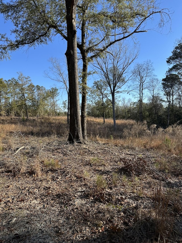 1873 Wild Turkey Dr, Gibson, GA 30810 - photo 10