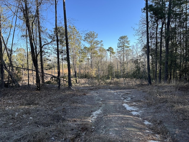 1873 Wild Turkey Dr, Gibson, GA 30810 - photo 3