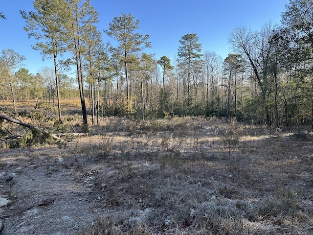 1873 Wild Turkey Dr, Gibson, GA 30810 - photo 4