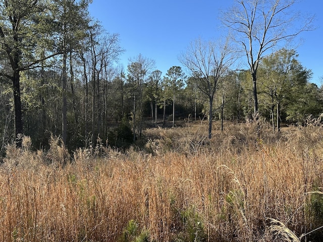 1873 Wild Turkey Dr, Gibson, GA 30810 - photo 8