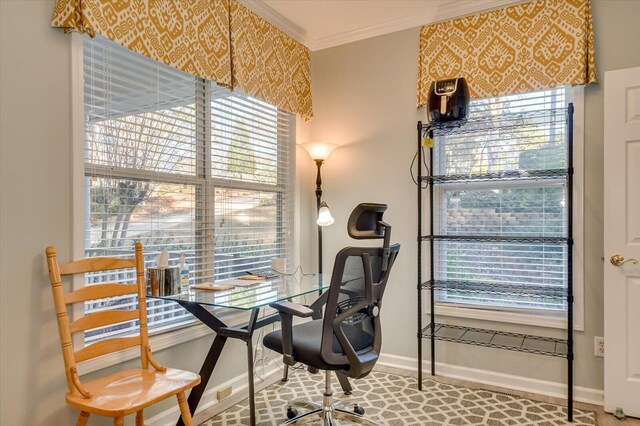 office space featuring crown molding