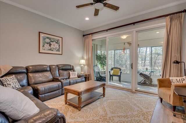 living room featuring light hardwood / wood-style flooring, ceiling fan, and ornamental molding