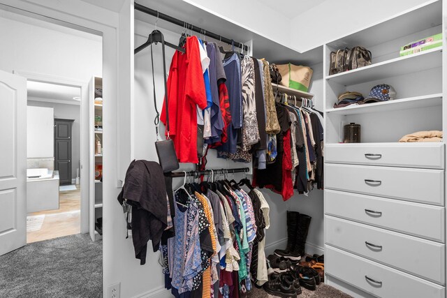 spacious closet featuring carpet