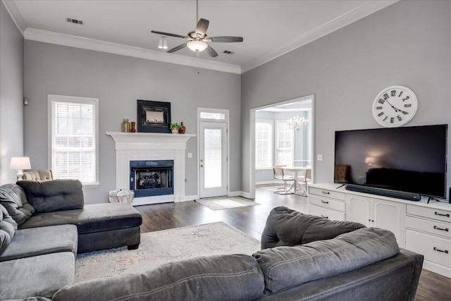 living room featuring ceiling fan with notable chandelier, crown molding, dark wood-style floors, and visible vents