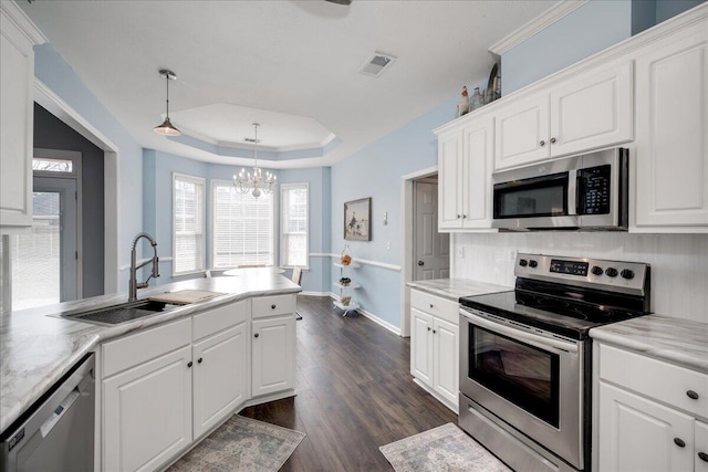 kitchen featuring visible vents, a sink, a tray ceiling, dark wood finished floors, and stainless steel appliances