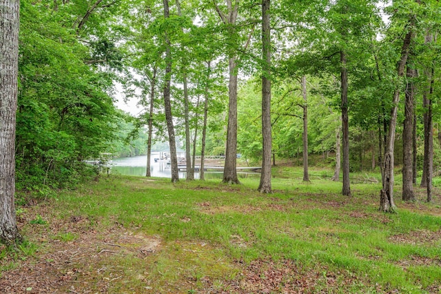 view of yard featuring a water view and a wooded view