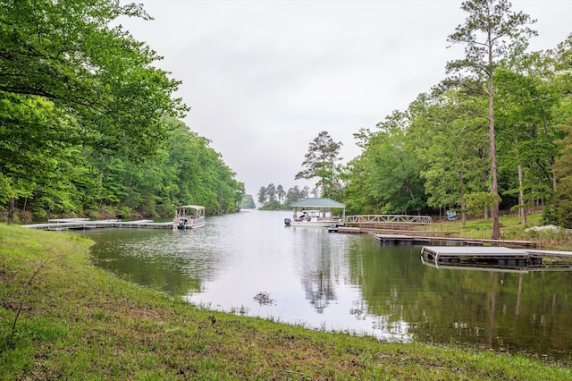 view of water feature with a view of trees