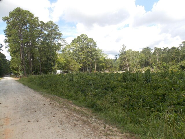 00 Chamberlain Ferry Rd, Lincolnton, GA 30817 - photo 5