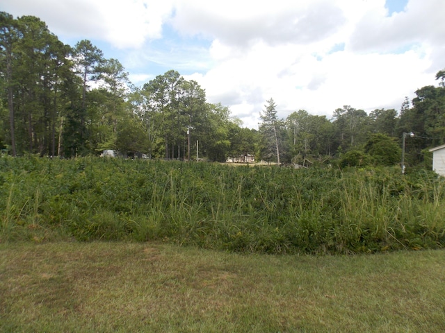 00 Chamberlain Ferry Rd, Lincolnton, GA 30817 - photo 4