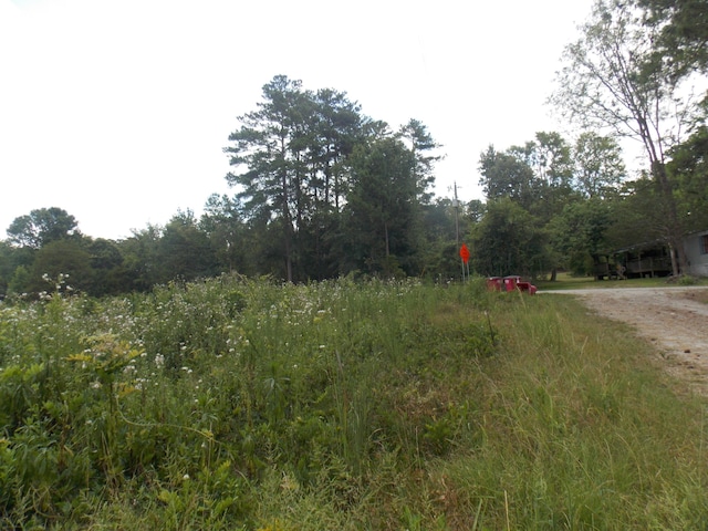 00 Chamberlain Ferry Rd, Lincolnton, GA 30817 - photo 1