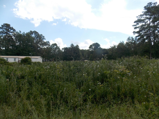 00 Chamberlain Ferry Rd, Lincolnton, GA 30817 - photo 2
