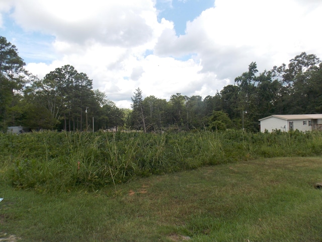 00 Chamberlain Ferry Rd, Lincolnton, GA 30817 - photo 3