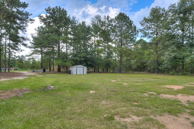 150 Society Rd, Williston, SC 29853 - photo 51