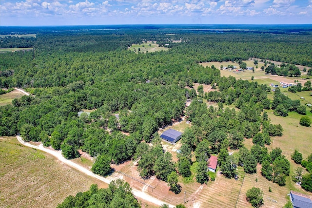 150 Society Rd, Williston, SC 29853 - photo 43