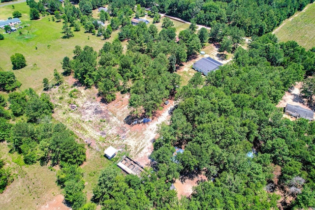 150 Society Rd, Williston, SC 29853 - photo 46