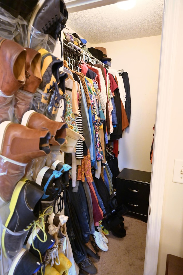 walk in closet with carpet floors