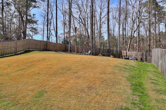 view of yard with a fenced backyard