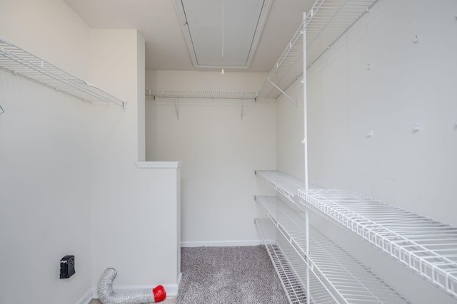 5034 Wheeler Lake Rd, Augusta, GA 30909 - spacious closet featuring attic access and carpet