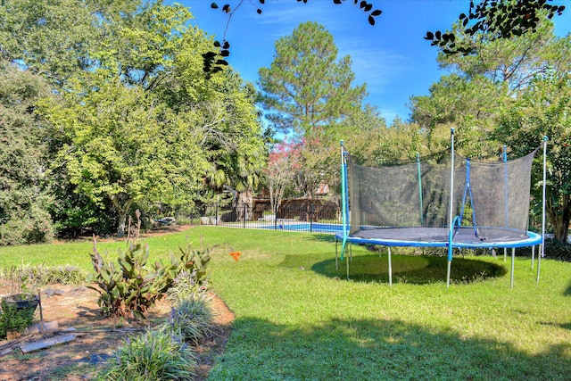 3463 Rhodes Hill Dr, Augusta, GA 30907 - view of yard featuring a trampoline