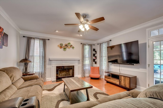 3463 Rhodes Hill Dr, Augusta, GA 30907 - living room featuring ornamental molding, a ceiling fan, a fireplace, and wood finished floors