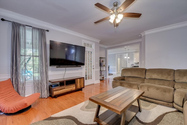 3463 Rhodes Hill Dr, Augusta, GA 30907 - living room with light wood finished floors, a ceiling fan, and crown molding