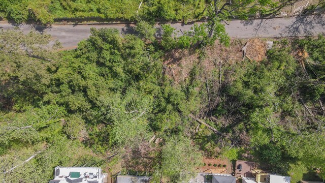 243 Water Oak Dr, Augusta, GA 30904